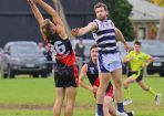 footy_406543_03.jpg