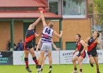 footy_406543_04.jpg