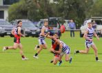 footy_406543_05.jpg