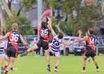 footy_406543_08.jpg