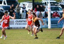 Hawks defeat brave Grubbers