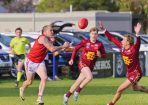 gdflfooty_405174_01.jpg