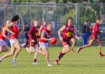 gdflfooty_405174_09.jpg