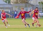 gdflfooty_405174_12.jpg