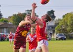 gdflfooty_405174_14.jpg