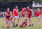 gdflfooty_405174_21.jpg