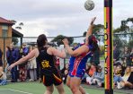 gflnetball_403485_01.jpg