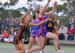 gflnetball_403485_02.jpg