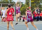 netball_403493_03.jpg