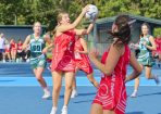 netball_405169_05.jpg