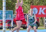 netball_405169_11.jpg