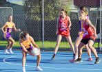 netball_407946_13.jpg