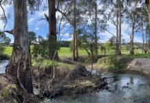 30-year Barwon River plan released