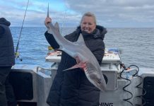 Return of the garfish