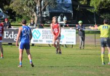 Star Grubber suffers internal injury