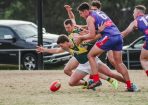 footy_414693_17.JPG