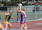 netball_414692_03.JPG