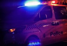 Missing toddler found dead