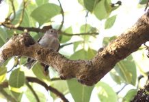 Farm and gardens venture proves successful