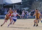 footy_418807_03.jpg