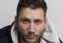 Search for Jesse Reynolds