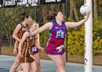 netball_418806_15.jpg