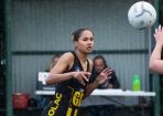 netball_420179_25.jpg