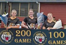 Cats hold on in the wet