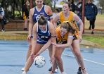 netball_421553_02.jpg