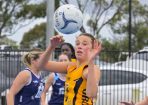 netball_421553_24.jpg