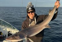 Plenty of options on land and sea