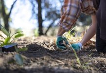 Going green for National Science Week