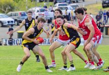 Tigers ready for Hawks or Roos