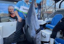 Fishos flock to calm waters