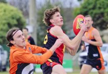 Joeys leap at Herne Hill Reserve