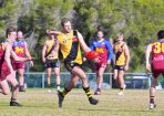 footy_424281_14.jpg