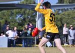 footy_424281_15.jpg