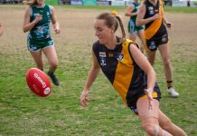 Tigers celebrate premiership