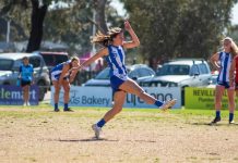 Anglesea wins Div 2 flag