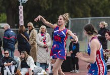 Swans have one eye on top spot