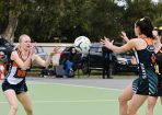 netball_422866_02.jpg