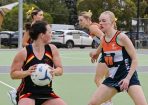 netball_422866_15.jpg