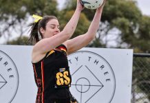 Joeys just keep on winning