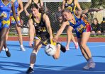 netball_424283_20.jpg