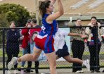 ognetball_425772_03.jpg