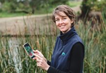 Hunting for frog data this October