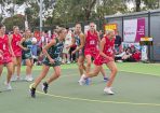 anetball_428851_13.jpg