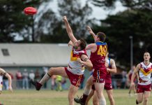 Lions into GDFL decider