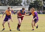 footy_430341_16.jpg