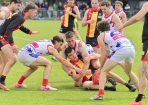 footy_431826_04.jpg